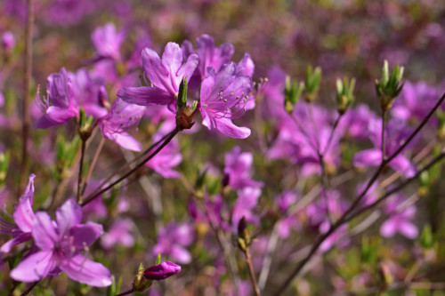 臨時：周匝D№9